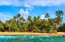 سینامون بی یا بلو واتر یا رویال پالم بیچ بنتوتا