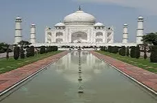 گلدن تولیپ / لا نیو دهلی